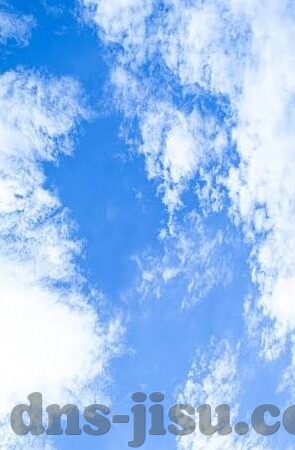 极速体育
